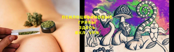хмурый Алексин