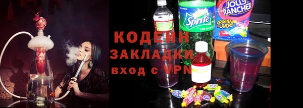 хмурый Алексин