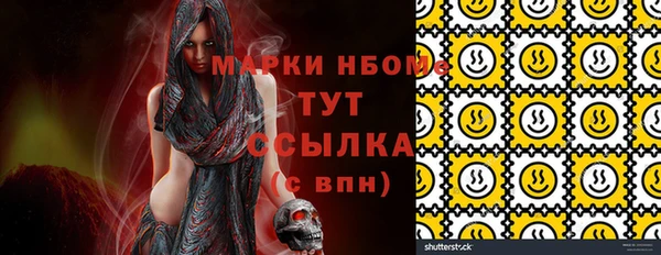 хмурый Алексин