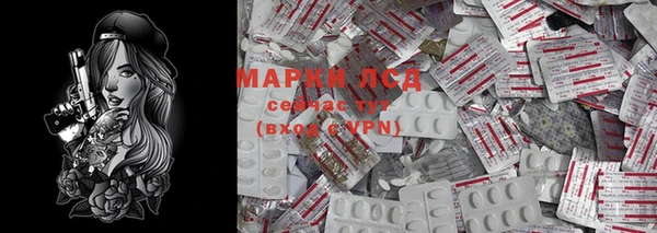 хмурый Алексин