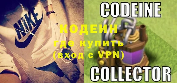 хмурый Алексин