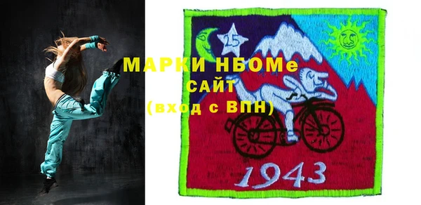 хмурый Алексин