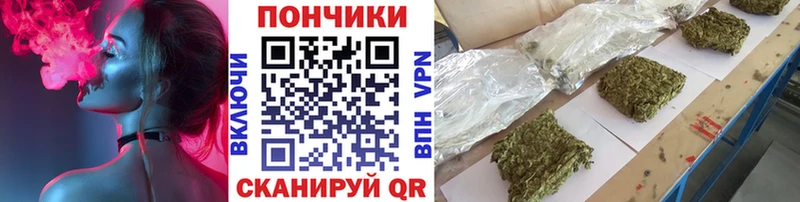 купить наркоту  Алексеевка  Канабис OG Kush 